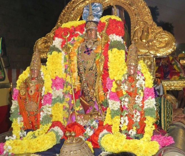 Kanchi Devarajaswami Temple  Anushtana kula utsavam Purappadu 2015-19