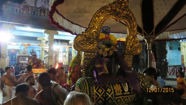 Kanchi Devarajaswami Temple  Anushtana kula utsavam Purappadu 2015-53