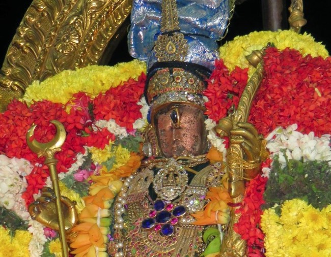 Kanchi Devarajaswami Temple  Anushtana kula utsavam Purappadu 2015-56