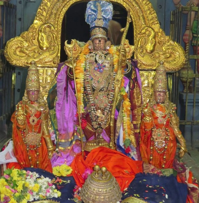Kanchi Devarajaswami Temple  Anushtana kula utsavam Purappadu 2015-57