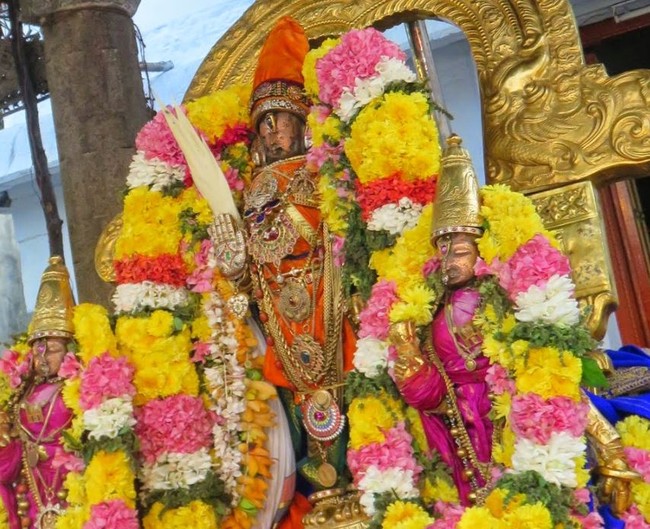 Kanchi Devarajaswami Temple Irappathu  utsavam day 4  2014-12
