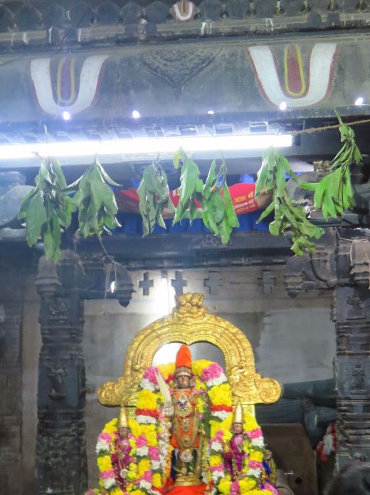 Kanchi Devarajaswami Temple Irappathu  utsavam day 4  2014-37