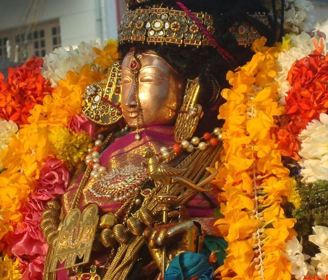 Kanchi Devarajaswami Temple Neeratal  utsavam Day 3   2014-10