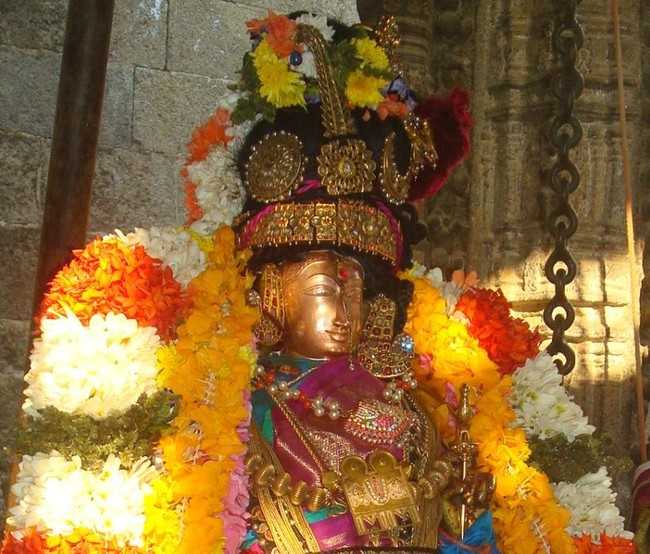 Kanchi Devarajaswami Temple Neeratal  utsavam Day 3   2014-25