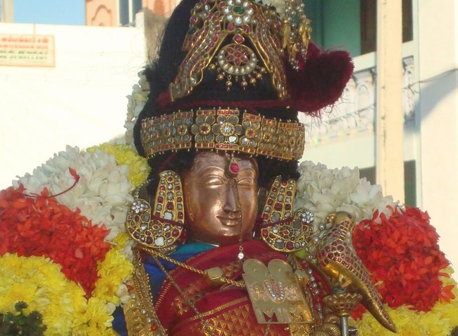Kanchi Devarajaswami Temple Sri ANdal Neerattu Utsavam day 9 2015 -19