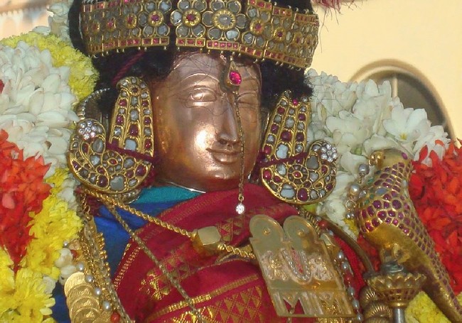 Kanchi Devarajaswami Temple Sri ANdal Neerattu Utsavam day 9 2015 -23
