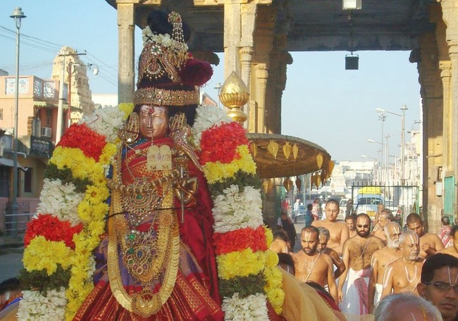 Kanchi Devarajaswami Temple Sri ANdal Neerattu Utsavam day 9 2015 -30