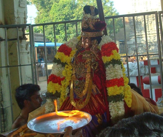 Kanchi Devarajaswami Temple Sri ANdal Neerattu Utsavam day 9 2015 -32