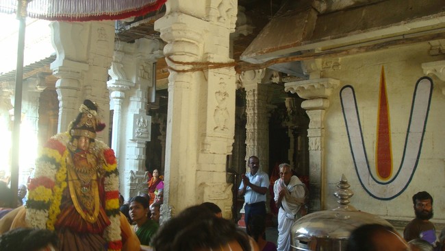 Kanchi Devarajaswami Temple Sri ANdal Neerattu Utsavam day 9 2015 -40