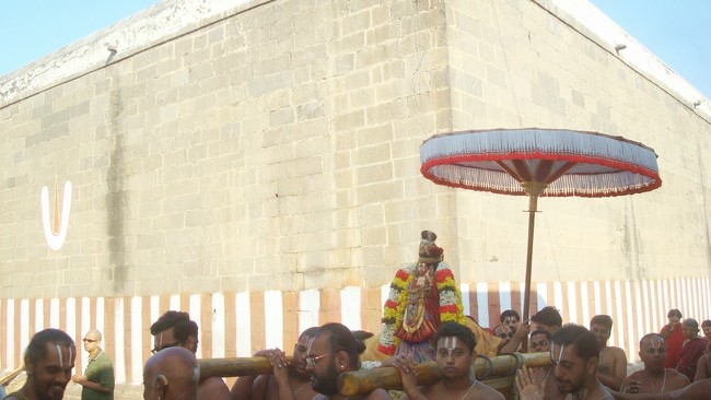 Kanchi Devarajaswami Temple Sri ANdal Neerattu Utsavam day 9 2015 -44