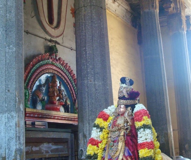 Kanchi Devarajaswami Temple Sri ANdal Neerattu Utsavam day 9 2015 -47