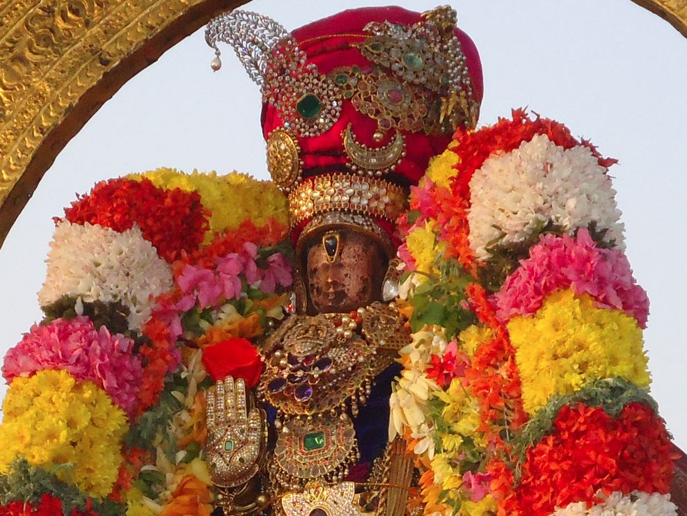 Kanchi Sri Devaperumal Pazhayaseevaram Utsavam 2015