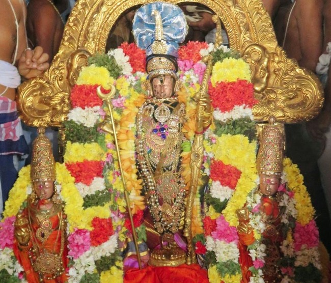 Kanchi Sri Devarajaswami Temple Anushtana Kula Utsavam Purappadu to Sevelimedu 2015-20