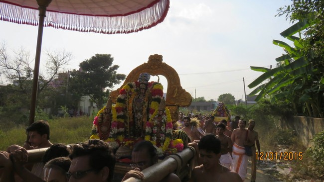 Kanchi Sri Devarajaswami Temple Anushtana Kula Utsavam Purappadu to Sevelimedu 2015-27