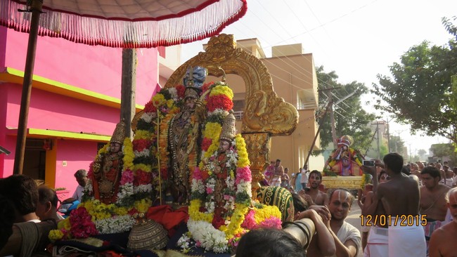 Kanchi Sri Devarajaswami Temple Anushtana Kula Utsavam Purappadu to Sevelimedu 2015-28
