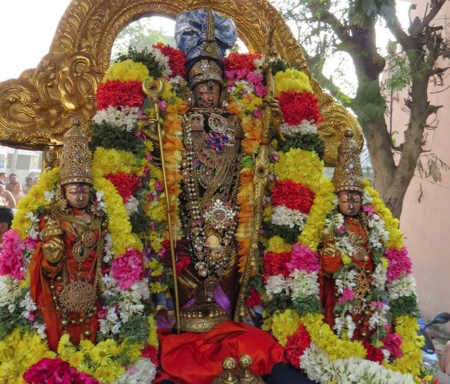 Kanchi Sri Devarajaswami Temple Anushtana Kula Utsavam Purappadu to Sevelimedu 2015-36