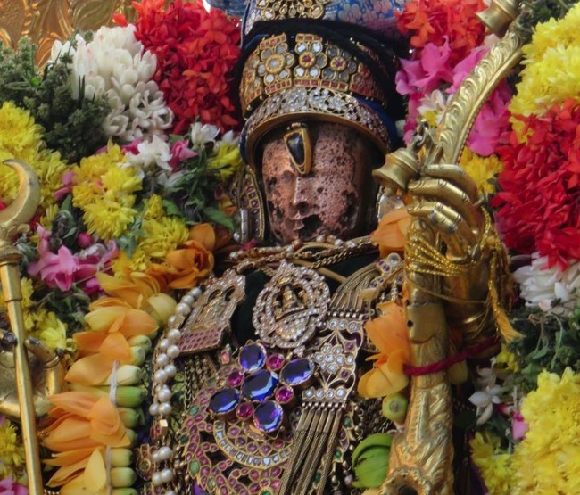 Kanchi Sri Devarajaswami Temple Anushtana Kula Utsavam Purappadu to Sevelimedu 2015-38