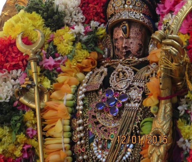 Kanchi Sri Devarajaswami Temple Anushtana Kula Utsavam Purappadu to Sevelimedu 2015-39