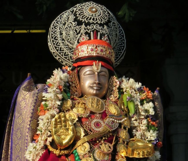 Kanchi Sri Devarajaswami Temple Anushtana Kula Utsavam Purappadu to Sevelimedu 2015-43