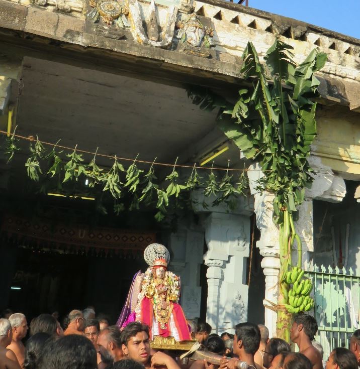 Kanchi Sri Devarajaswami Temple Anushtana Kula Utsavam Purappadu to Sevelimedu 2015-47