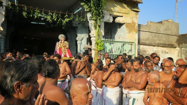 Kanchi Sri Devarajaswami Temple Anushtana Kula Utsavam Purappadu to Sevelimedu 2015-49