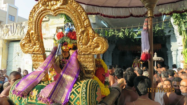 Kanchi Sri Devarajaswami Temple Anushtana Kula Utsavam Purappadu to Sevelimedu 2015-54