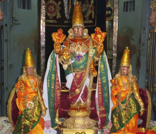 Kanchi Sri Devarajaswami Temple Irappathu Iyarpa Satrumuraia 2015-30