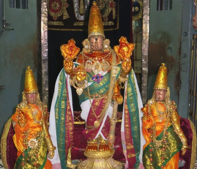 Kanchi Sri Devarajaswami Temple Irappathu Iyarpa Satrumuraia 2015-31