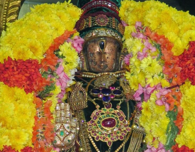 Kanchi Sri Devarajaswami Temple Irappathu Utsavam Day 5 2014-36