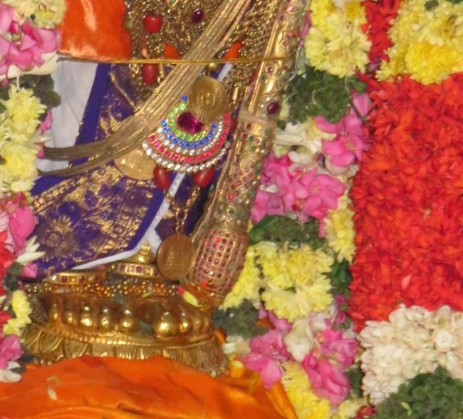 Kanchi Sri Devarajaswami Temple Irappathu  Utsavam day 8  2014-11