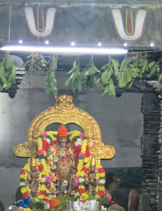 Kanchi Sri Devarajaswami Temple Irappathu  Utsavam day 8  2014-21