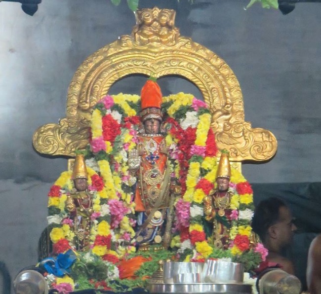 Kanchi Sri Devarajaswami Temple Irappathu  Utsavam day 8  2014-22