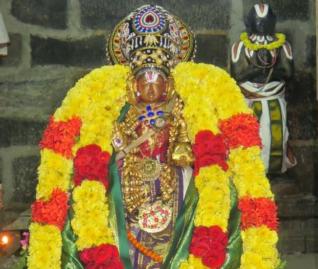 Kanchi Sri Devarajaswami Temple Irappathu  Utsavam day 8  2014-35