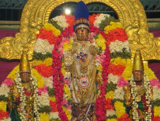 Kanchi Sri Devarajaswami Temple Irappathu  Utsavam day 9  2014-03