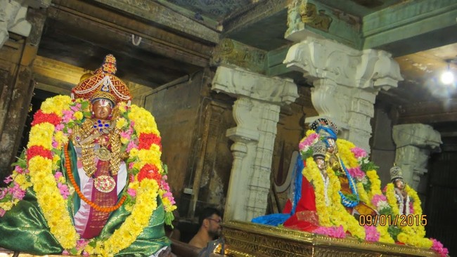 Kanchi Sri Devarajaswami Temple Irappathu  Utsavam day 9  2014-41