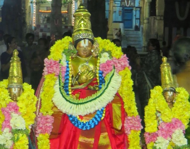 Kanchi Sri Devarajaswami Temple Irappatu utsavam day 6 2014-16