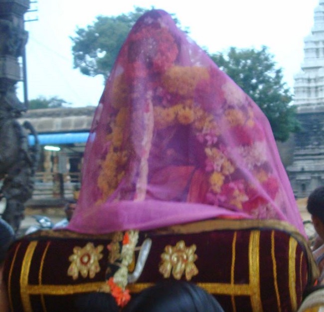 Kanchi Sri Devarajaswami Temple Sri ANdal Neerattu Utsavam day 4  2014-07