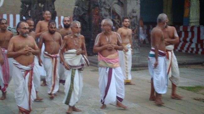 Kanchi Sri Devarajaswami Temple Sri ANdal Neerattu Utsavam day 4  2014-08