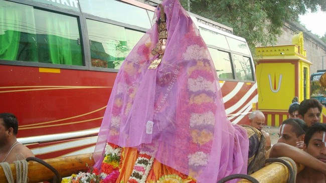 Kanchi Sri Devarajaswami Temple Sri ANdal Neerattu Utsavam day 4  2014-14