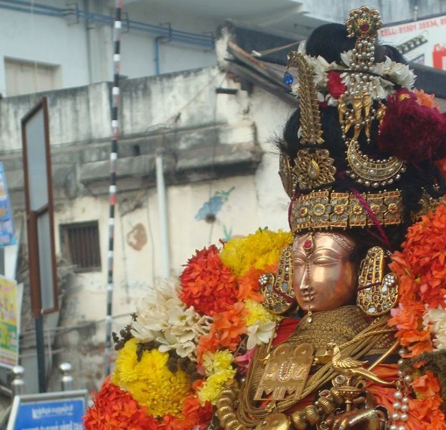 Kanchi Sri Devarajaswami Temple Sri ANdal Neerattu Utsavam day 4  2014-16