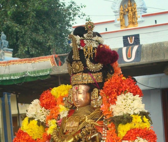 Kanchi Sri Devarajaswami Temple Sri ANdal Neerattu Utsavam day 4  2014-19