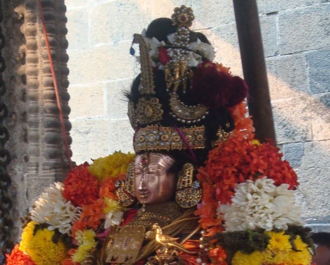 Kanchi Sri Devarajaswami Temple Sri ANdal Neerattu Utsavam day 4  2014-26
