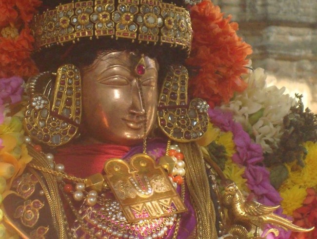 Kanchi Sri Devarajaswami Temple Sri Andal Neerattu Utsavam Concludes 2015-02