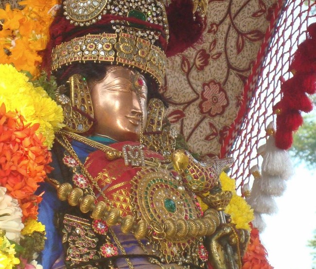 Kanchi Sri Devarajaswami Temple Sri Andal Neerattu Utsavam Concludes 2015-28
