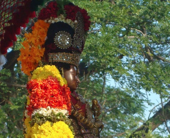 Kanchi Sri Devarajaswami Temple Sri Andal Neerattu Utsavam Concludes 2015-29