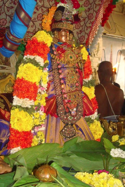 Kanchi Sri Devarajaswami Temple Sri Andal Neerattu Utsavam Concludes 2015-37