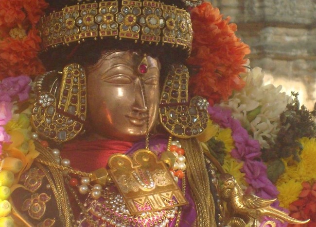Kanchi Sri Devarajaswami Temple Sri Andal Neerattu Utsavam Concludes 2015-63