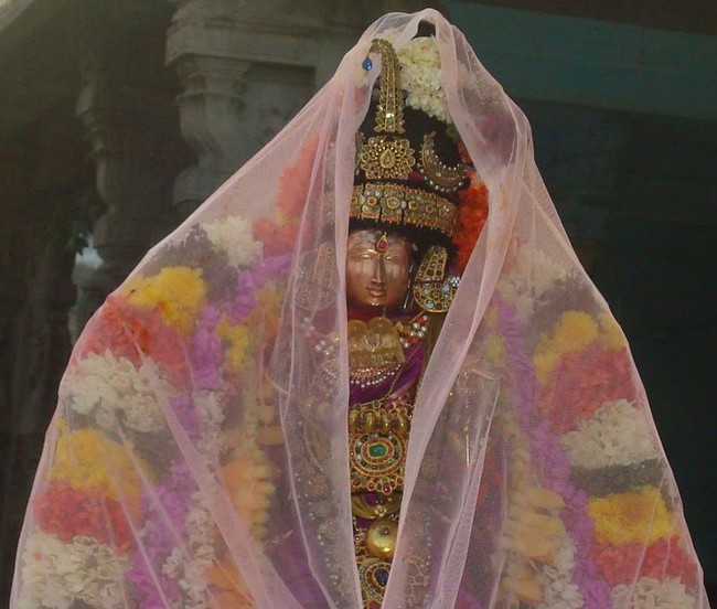 Kanchi Sri Devarajaswami Temple Sri Andal Neerattu Utsavam day 1 2014-08