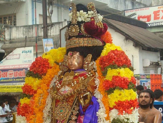 Kanchi Sri Devarajaswami Temple Sri Andal Neerattu Utsavam day 2 2014-11