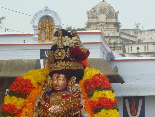 Kanchi Sri Devarajaswami Temple Sri Andal Neerattu Utsavam day 2 2014-16